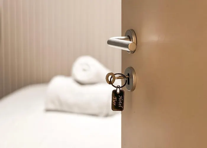 ホテル Tier Center 3*