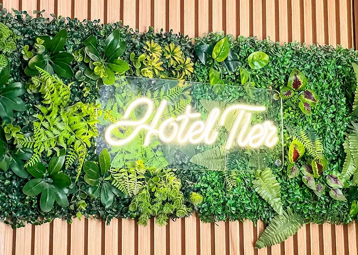 ホテル Tier Center 3*